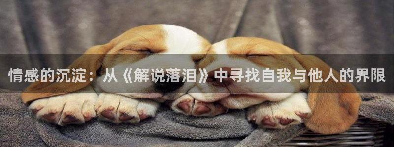 啪啪樱桃视频