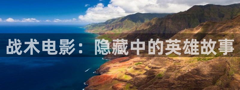 樱桃动漫在线观看免费高清电视剧全：战术电影：隐藏中的英雄故事