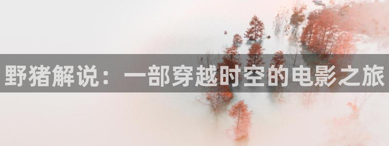 樱桃视频十八禁：野猪解说：一部穿越时空的电影之旅