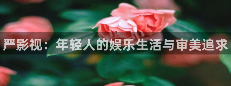 樱桃视