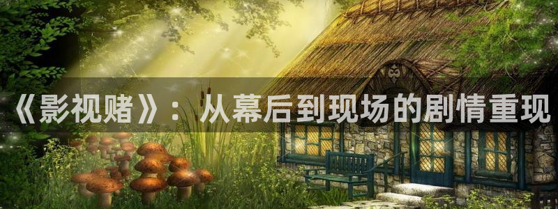 樱桃草视频：《影视赌》：从幕后到现场的剧情重现