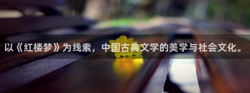 樱桃视频成人永久免费版app：以《红楼梦》为线索，中国古典文学的美学与社会文化。