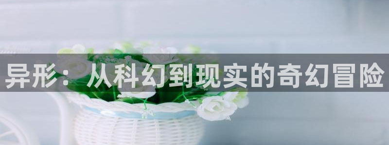樱桃视频成年版app