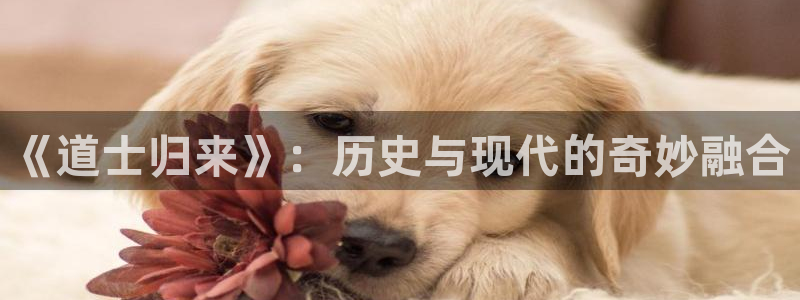 樱桃大片视频