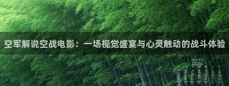 樱桃视频可以免费观看福利版：空军解说空战电影：一场视觉盛宴与心灵触动的战斗体验