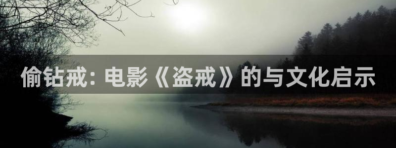 樱桃app视频播放器：偷钻戒: 电影《盗戒》的与文化启示