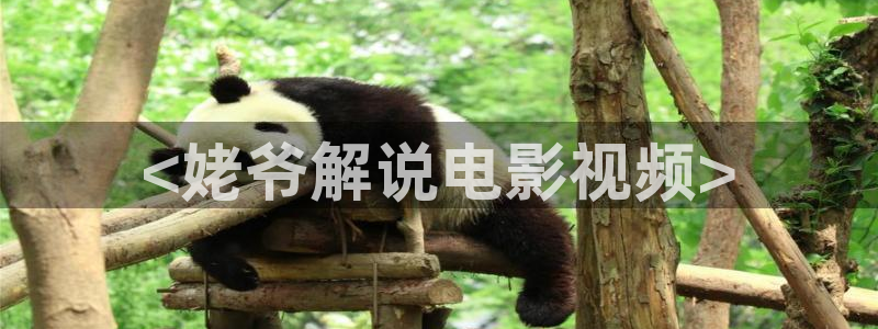 樱桃视频最新版：<姥爷解说电影视频>