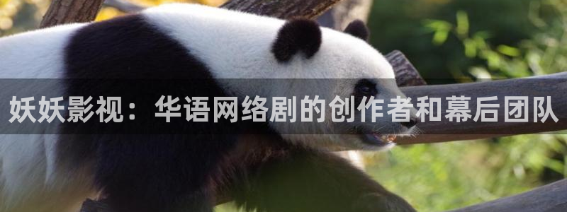 樱桃电视剧免费高清：妖妖影视：华语网络剧的创作者和幕后团队