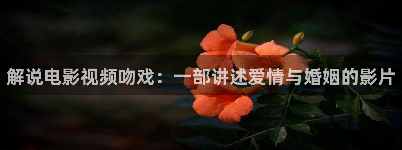 樱桃影院在线播放：解说电影视频吻戏：一部讲述爱情与婚姻的影片