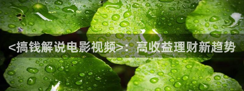 下载视频樱桃：<搞钱解说电影视频>：高收益理财新趋势