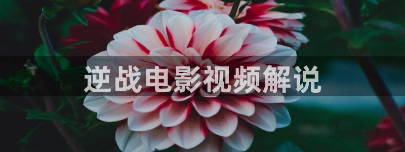樱桃视频新版：逆战电影视频解说