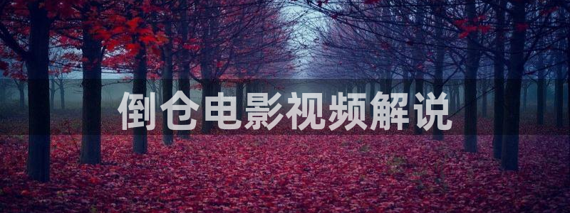 樱桃精品视频：倒仓电影视频解说