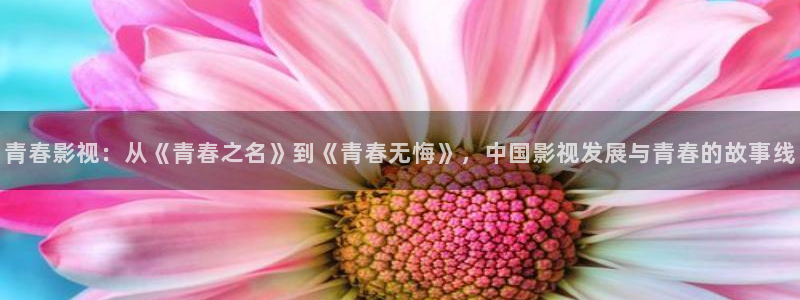 樱桃电视剧全38集免费观看：青春影视：从《青春之名》到《青春无悔》，中国影视发展与青春的故事线