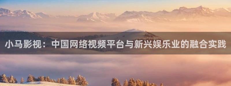 丝瓜黄瓜樱桃视频：小马影视：中国网络视频平台与新兴娱乐业的融合实践