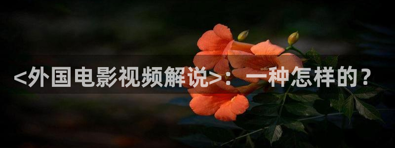 樱桃视频网站在线观看：<外国电影视频解说>：一种怎样的？