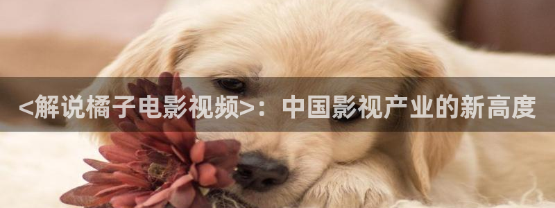 樱桃tv.apk：<解说橘子电影视频>：中国影视产业的新高度