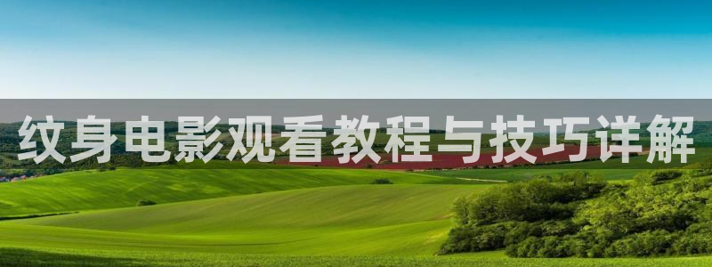 樱桃视频在线观看免费