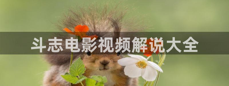 樱桃视：斗志电影视频解说大全