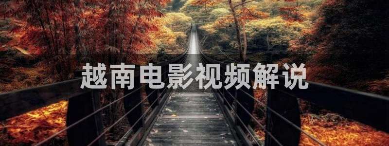 樱桃电视剧全部免费观看：越南电影视频解说