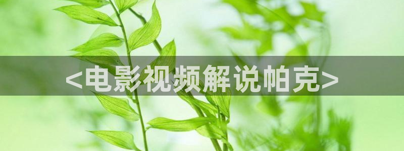 樱桃视频旧版：<电影视频解说帕克>