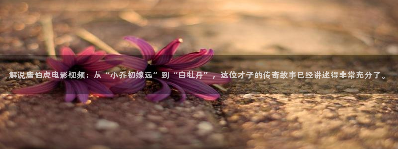 樱桃大连樱桃：解说唐伯虎电影视频：从“小乔初嫁远”到“白牡丹”，这位才子的传奇故事已经讲述得非常充分了。