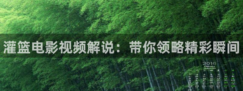 樱桃视频黄色版：灌篮电影视频解说：带你领略精彩瞬间