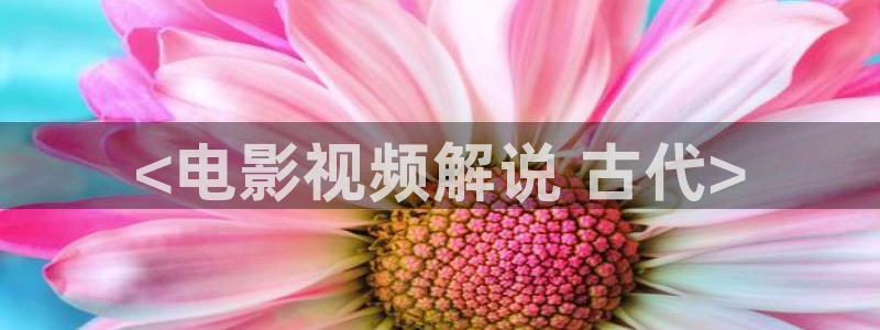 樱桃电视剧免费观看全集完整版：<电影视频解说 古代>