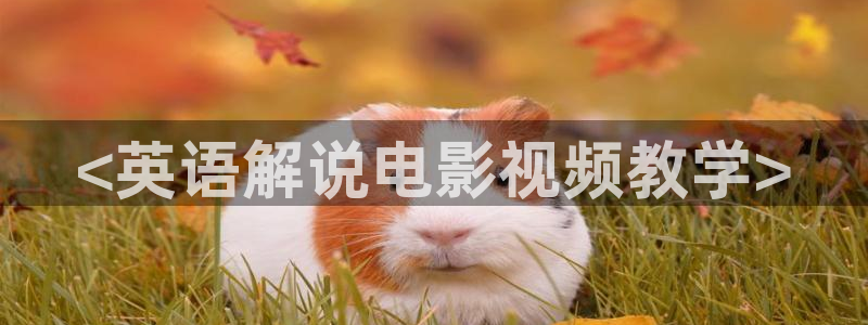 樱桃视频免费看片