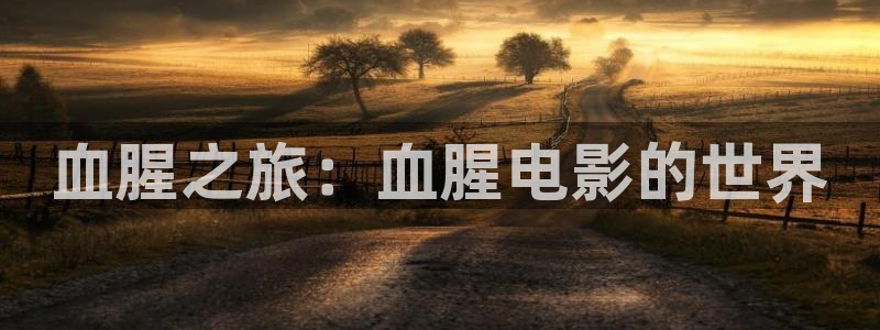 樱桃观看免费高清电视剧