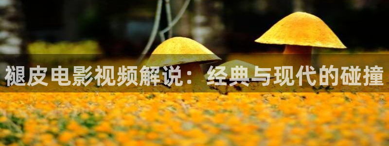 樱桃树管理技术视频