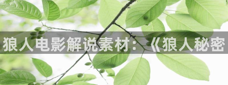 大樱桃种植视频