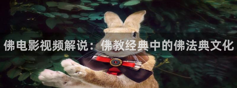 樱桃视频17