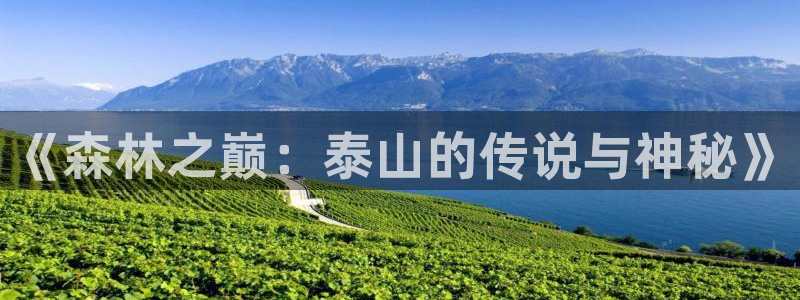 下载樱桃小视频app