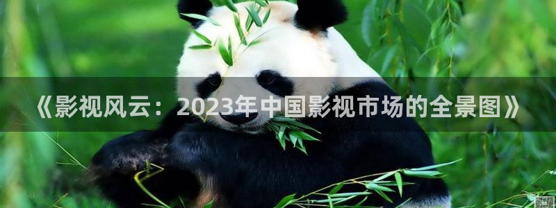 小樱桃在线观看免费高清电视剧全集
