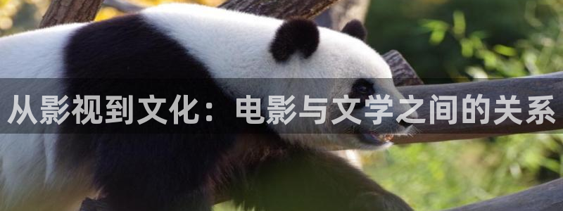 电视剧樱桃红全集播放